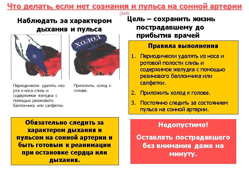Что делать, если нет сознания и пульса на сонной артерии (324) Наблюдать за характером